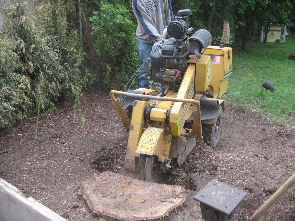 Fläche in einem Garten wird ausgehoben