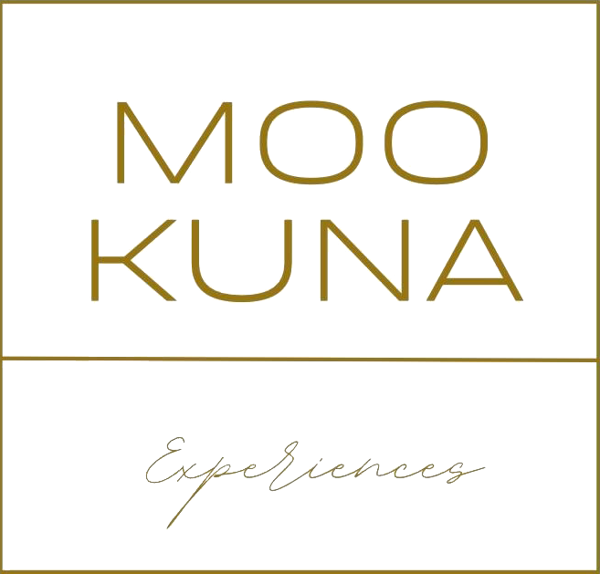 logotipo cabecera