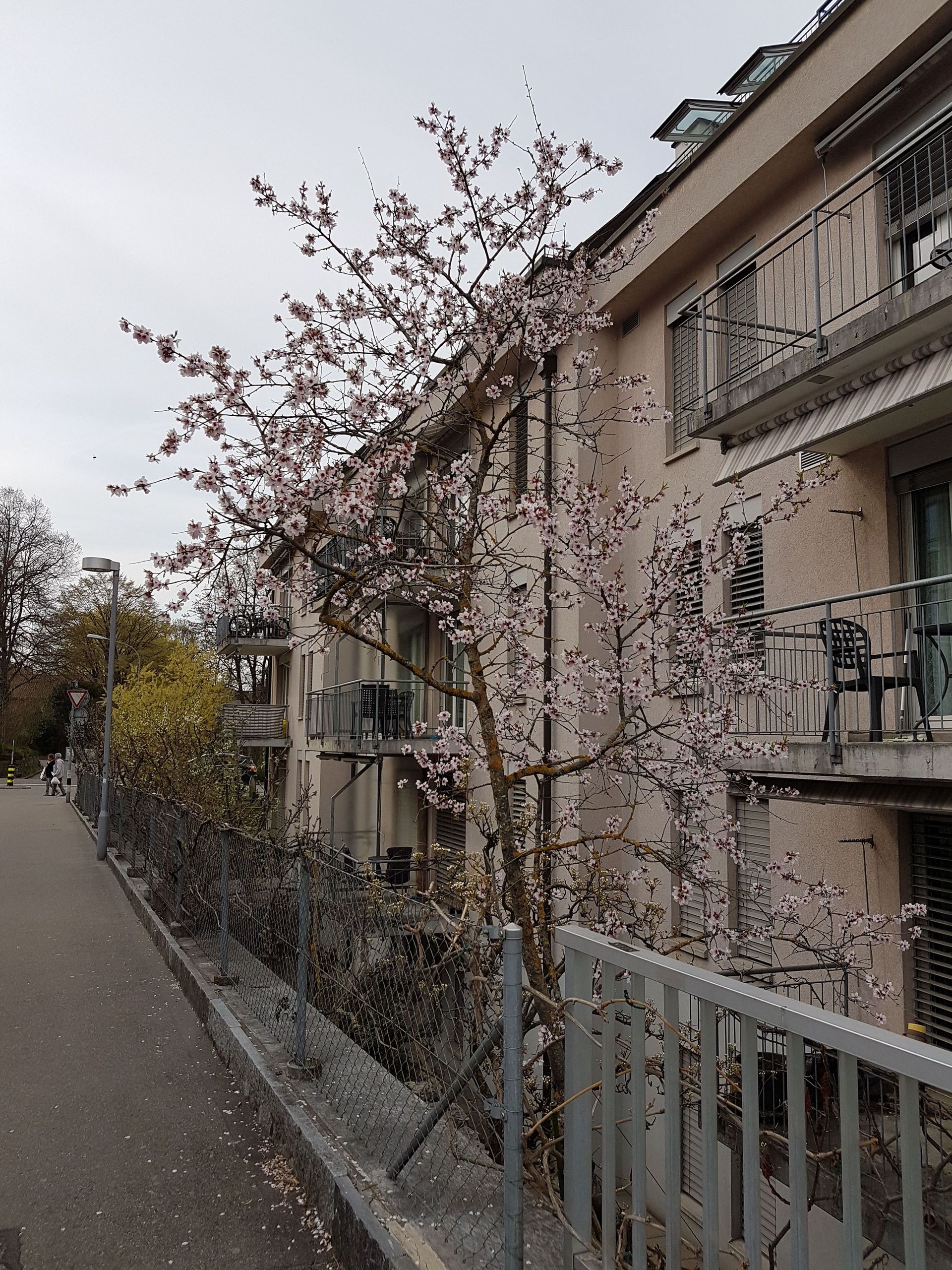 Bressan & Partner AG
