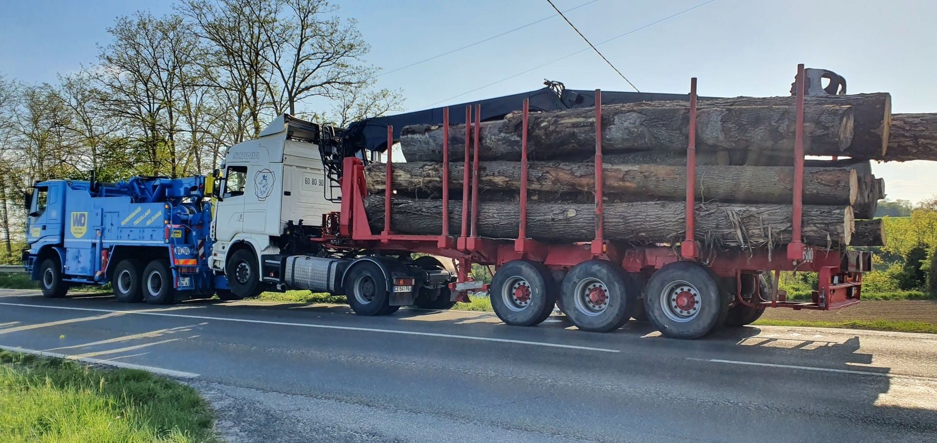 Camion avec tronc d'arbre