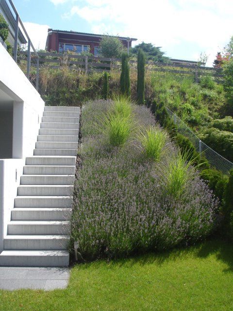 Garten, gestaltet von der GARTEN3PUNKT AG