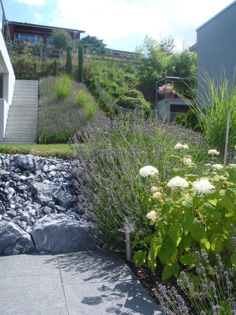 Garten, gestaltet von der GARTEN3PUNKT AG