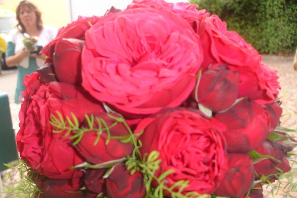 Blumen, Arbeit der GARTEN3PUNKT AG