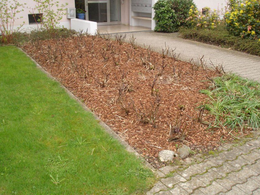 Garten, gestaltet von der GARTEN3PUNKT AG