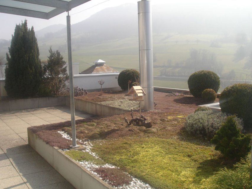 Garten, gestaltet von der GARTEN3PUNKT AG