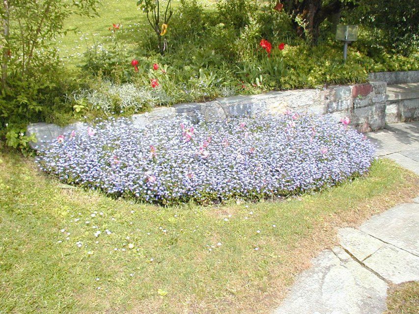 Garten, gestaltet von der GARTEN3PUNKT AG