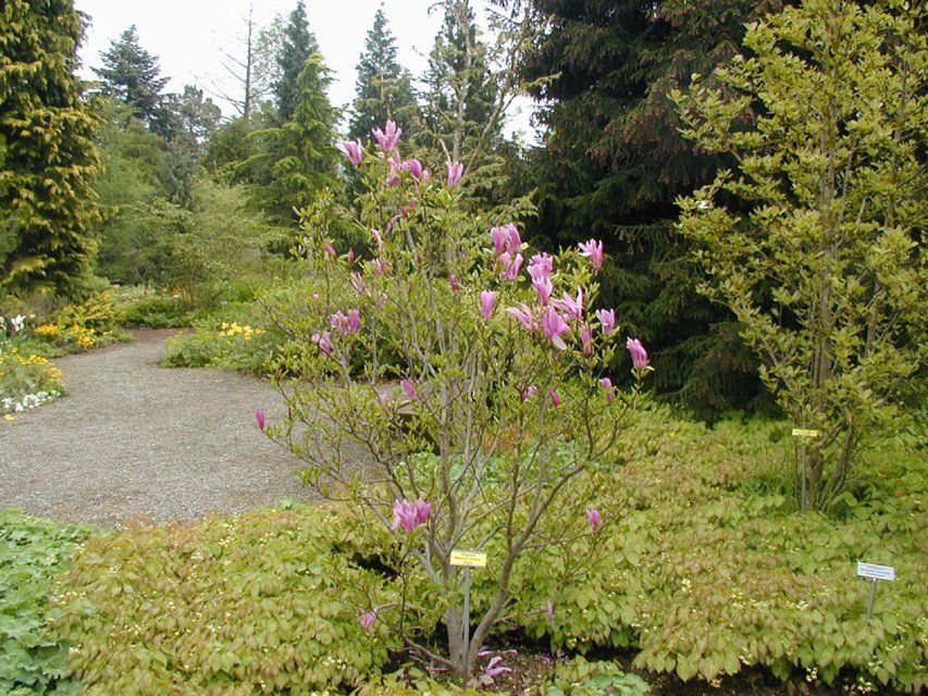 Garten, gestaltet von der GARTEN3PUNKT AG