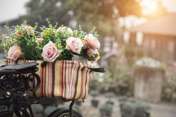 Blumen und Aussendekoration