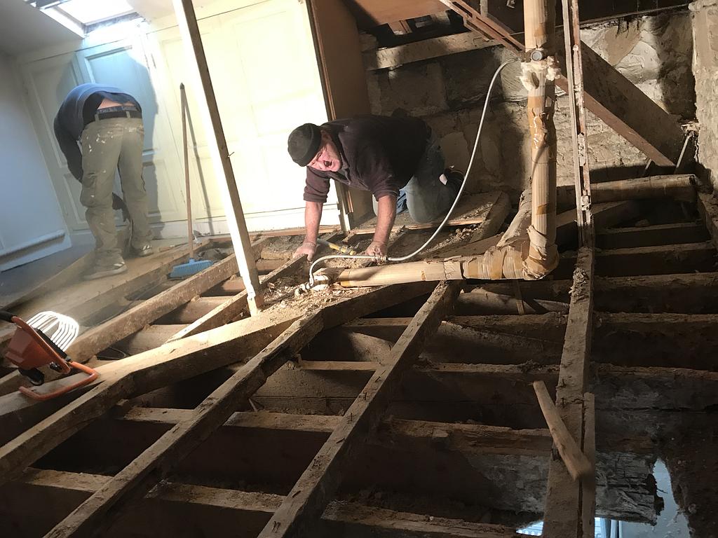 traitement du champignon de la mérule