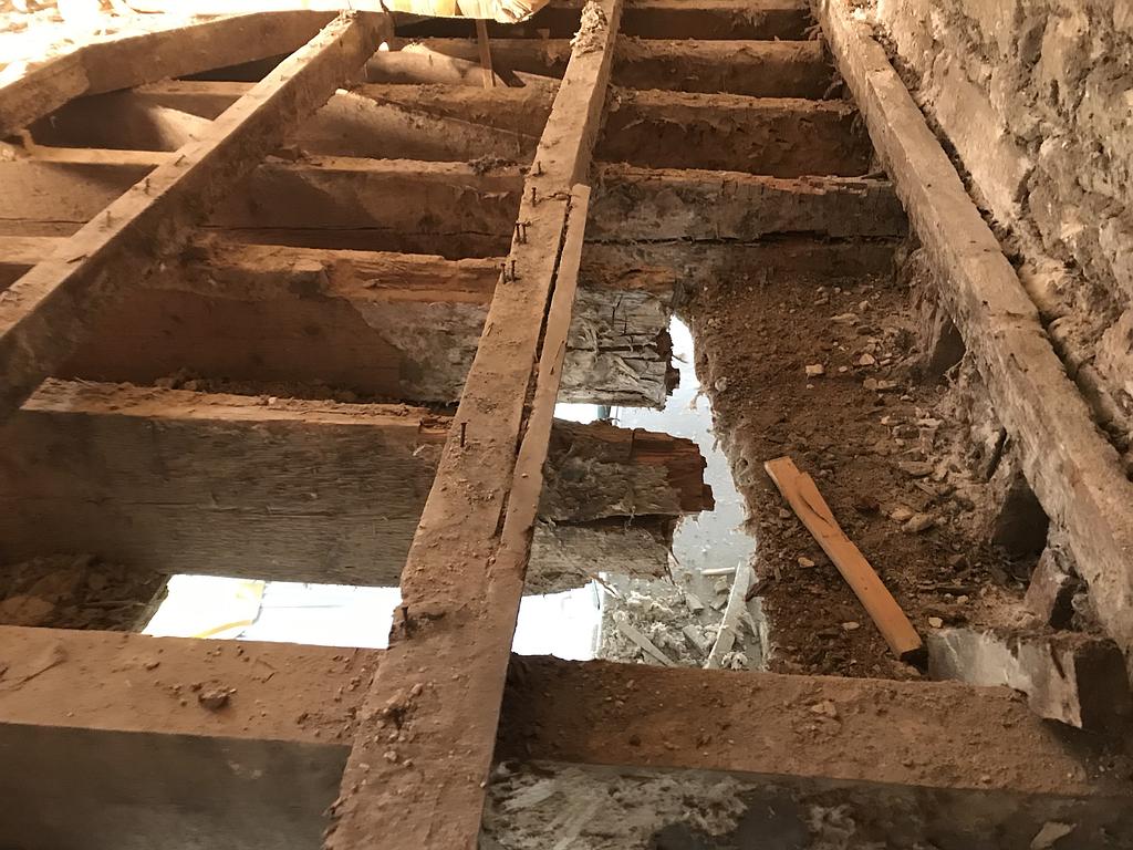 solives attaquée par la mérule