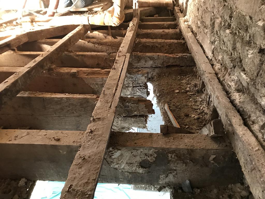 solives ronger par le champignon mérule