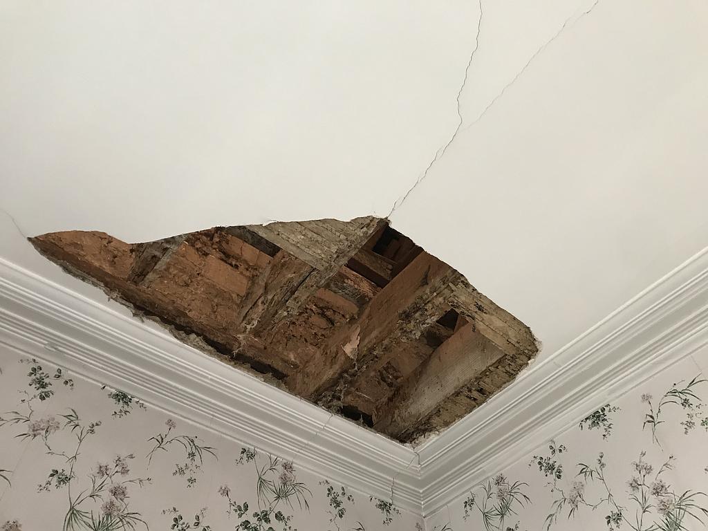 champignon mérule a ronger les solives