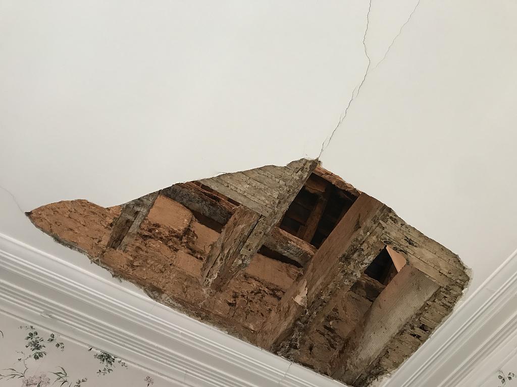 la mérule à attaquée les solives