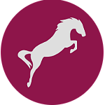 horse