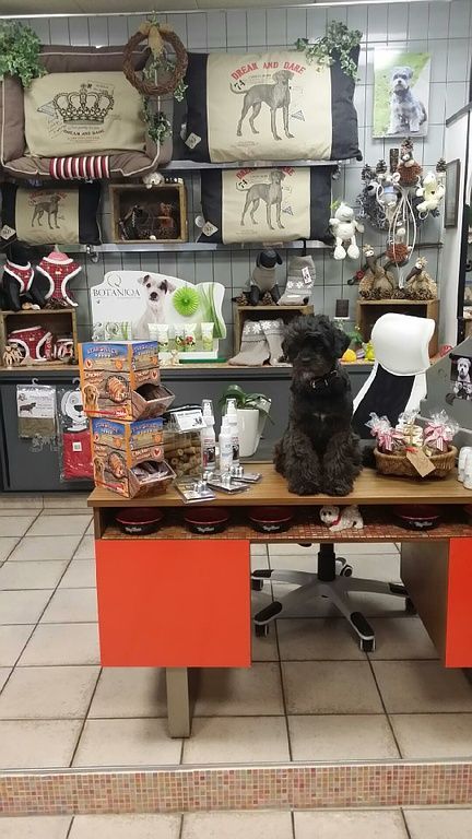 Susanne Voser Hunde- und Katzensalon