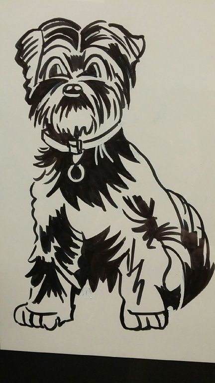 Susanne Voser Hunde- und Katzensalon