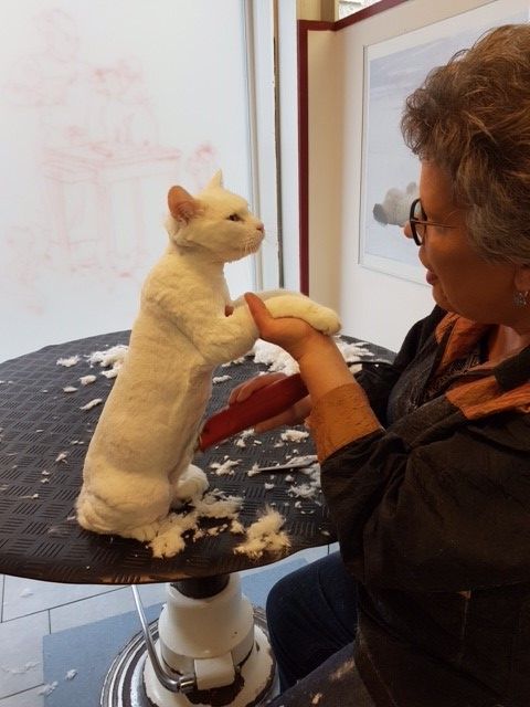 Susanne Voser Hunde- und Katzensalon