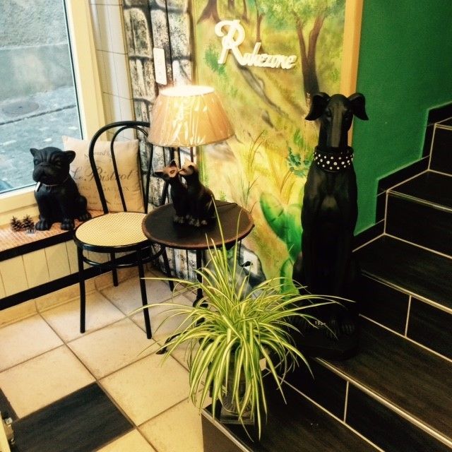 Susanne Voser Hunde- und Katzensalon