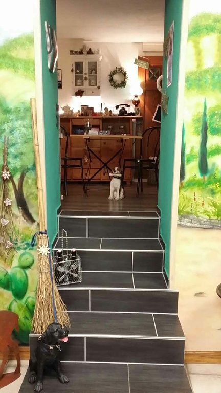 Susanne Voser Hunde- und Katzensalon