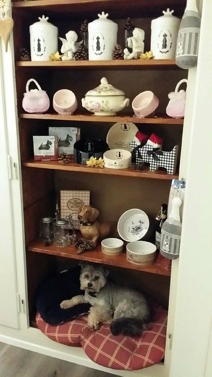 Susanne Voser Hunde- und Katzensalon