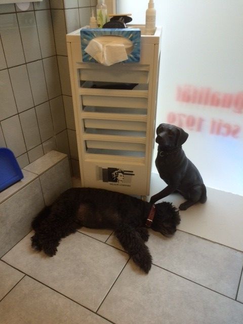 Susanne Voser Hunde- und Katzensalon