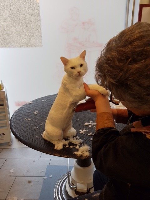 Susanne Voser Hunde- und Katzensalon