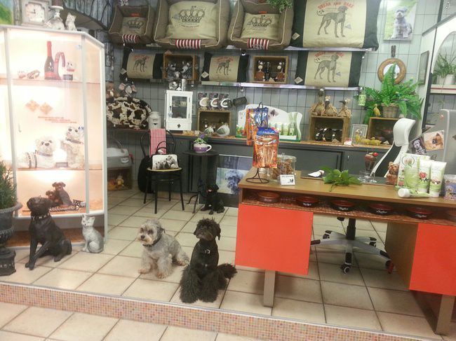 Susanne Voser Hunde- und Katzensalon