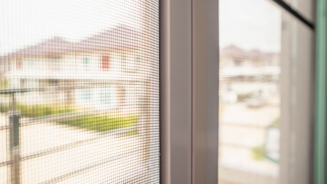 Vista a través de una ventana de una luminosa calle suburbana con casas y coches aparcados cerca.