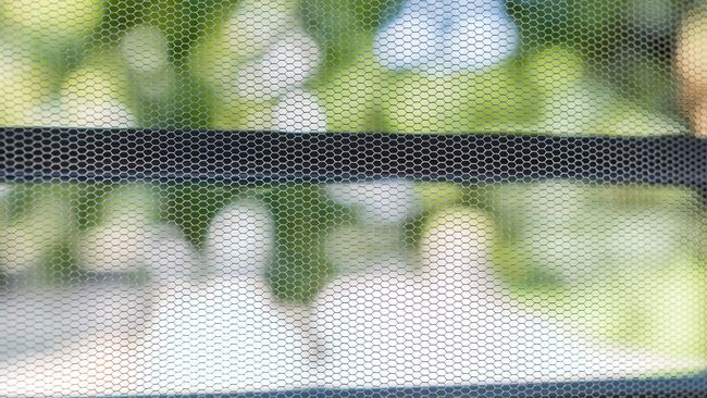 Perro blanco borroso detrás de una mosquitera, con árboles verdes al fondo.