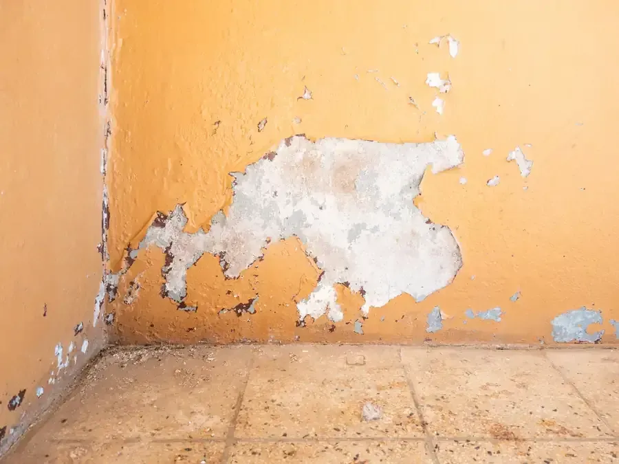 Pintura de pared naranja descascarada con manchas blancas sobre un piso de baldosas desgastadas en una esquina.