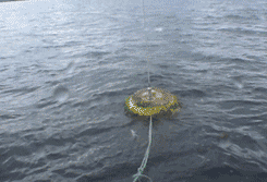 Boya amarilla flotando en aguas agitadas, conectada por una cuerda a un objeto invisible.