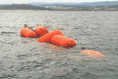 Boyas naranjas flotando en el agua, con un fondo borroso de tierra y cielo.