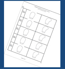 Dibujo lineal de una variedad de objetos en forma de lágrima organizados en una cuadrícula.