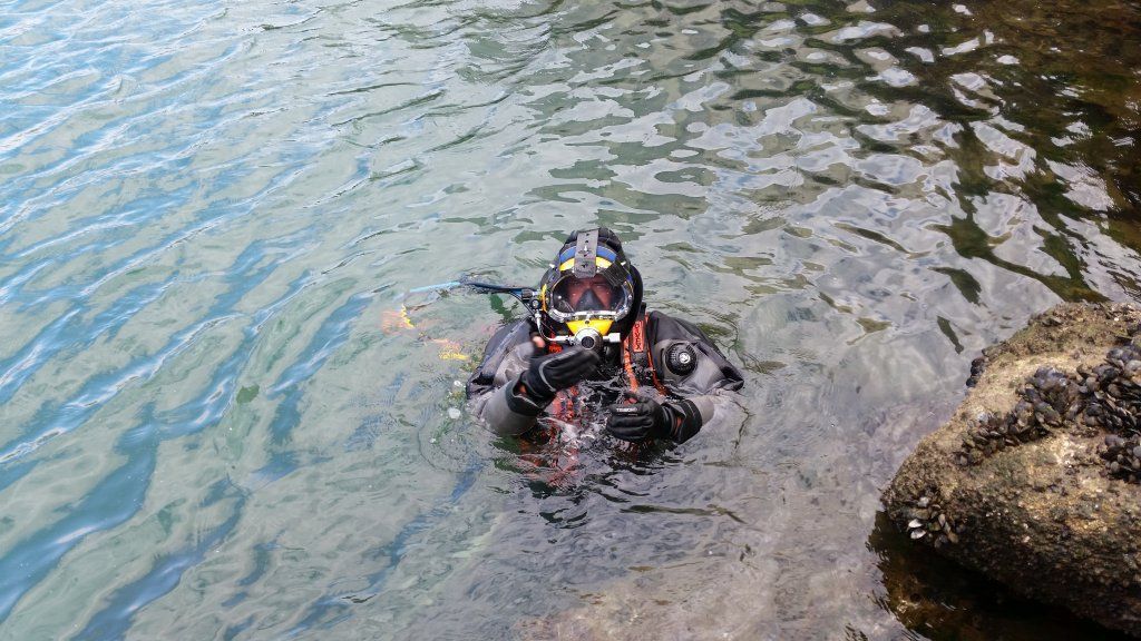 Un buceador con equipo oscuro emerge en aguas turbias cerca de las rocas.