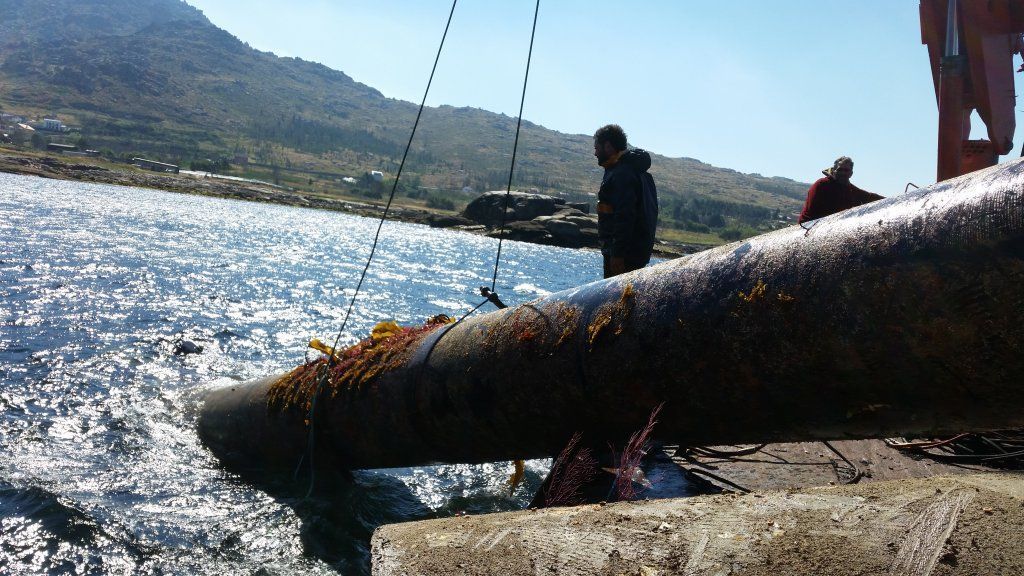 Trabajadores cerca del agua levantan una tubería grande con una grúa; día soleado.