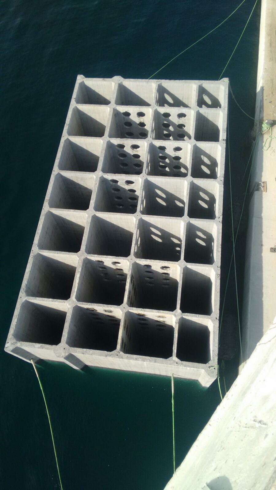 Una estructura de hormigón gris, en forma de cuadrícula, flota en el agua; algunos cuadrados presentan agujeros. Está atada a un muelle con una cuerda amarilla.