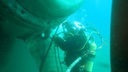 Buceador bajo una gran ballena, mirando hacia arriba, rodeado de agua turquesa.