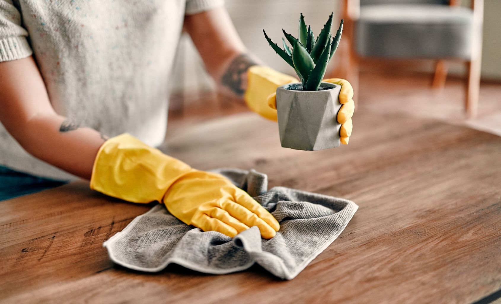 Femme essuyant de poussière sur une table avec un chiffon et soulevant une petite plante verte