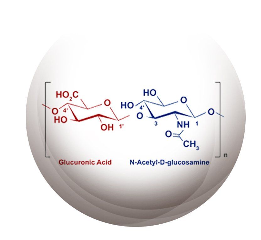 Formule chimique acide hyaluronique