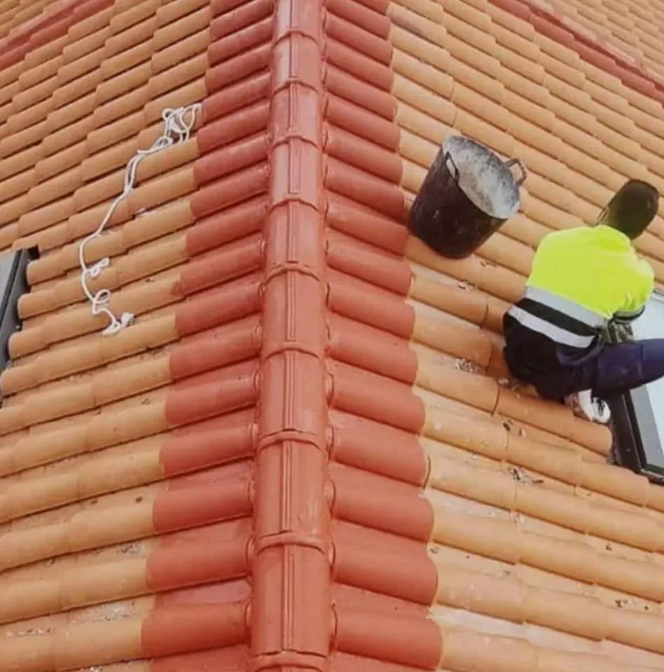 Un hombre está pintando el techo de un edificio con un balde.