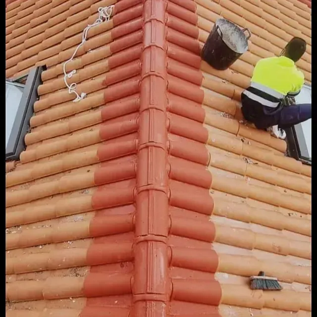 Un hombre está pintando el techo de una casa con un balde.