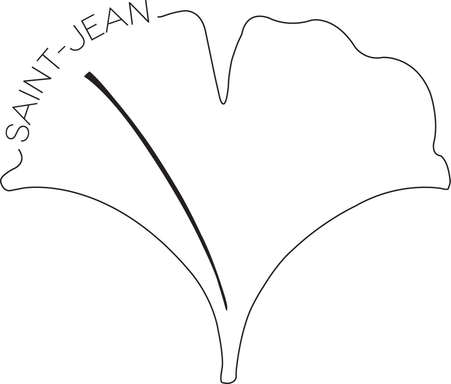 Logo Saint Jean 3D Solution