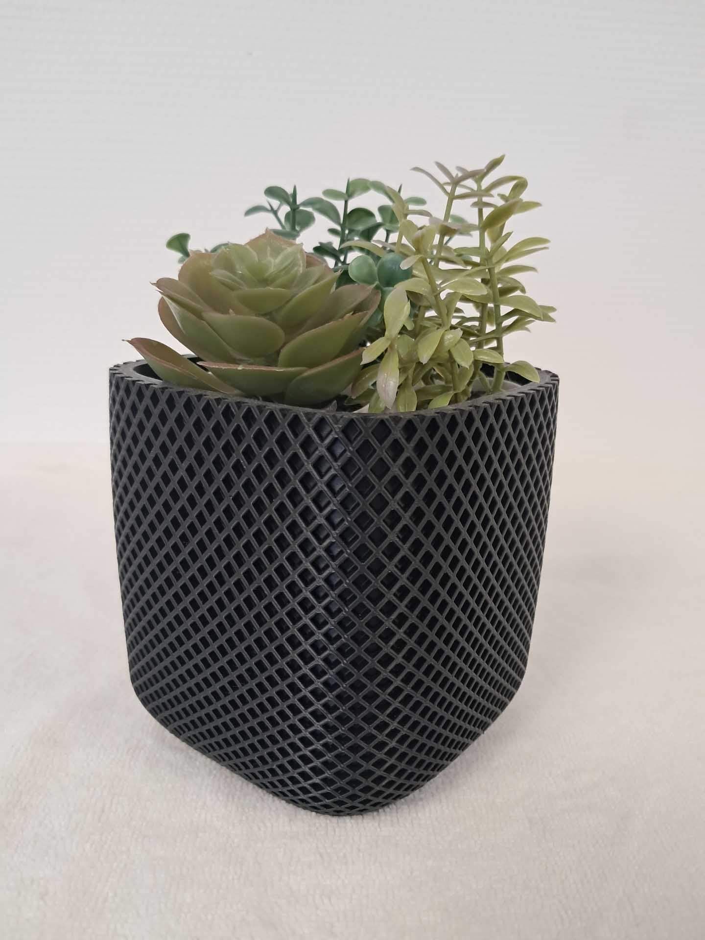 Petit arrangement de plantes succulentes dans un pot noir texturé sur fond blanc