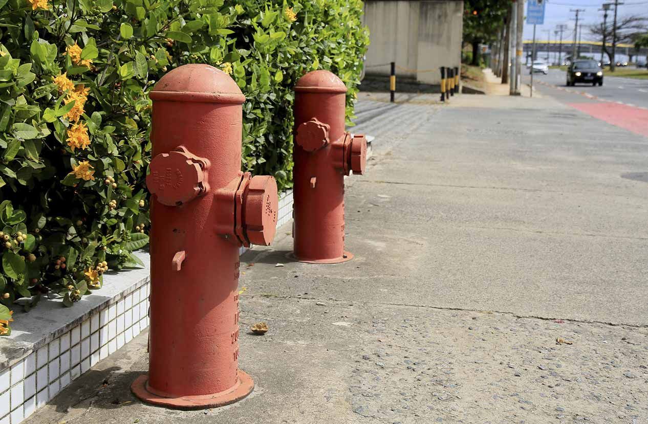 Hay dos bocas de incendio rojas a un lado de la carretera.