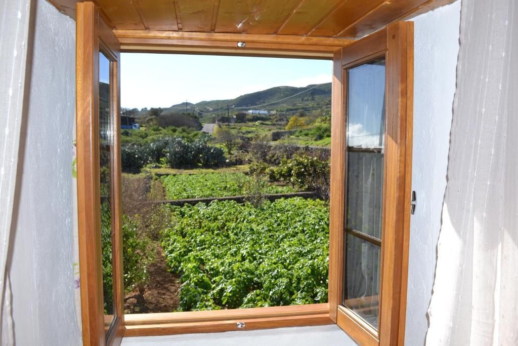 Una ventana abierta con vista a un viñedo.