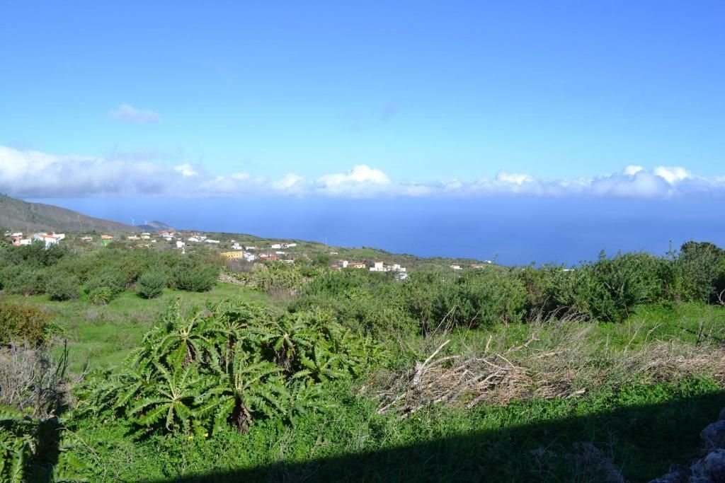 Un exuberante campo verde con vista al océano.