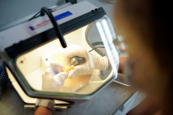 Dr. med. dent. Gabriele Raaf-Beez-Ilshofen