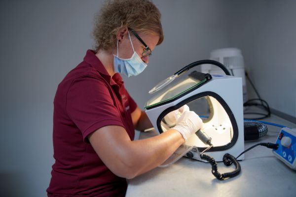 Dr. med. dent. Gabriele Raaf-Beez-Ilshofen