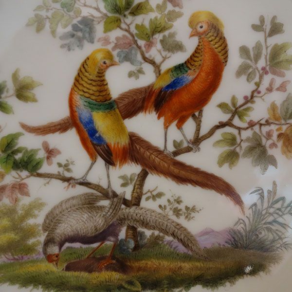 Zwei Goldfasane auf einem Ast, darunter ein dritter Fasan auf Futtersuche, auf einer weißen Porzellanoberfläche.