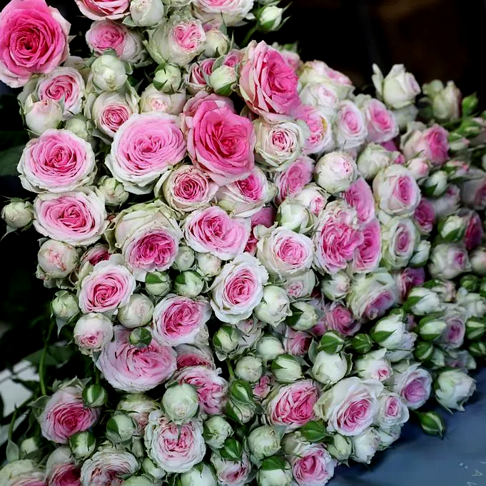 Magasin De Decoration Villefranche De Rouergue Vente De Fleurs